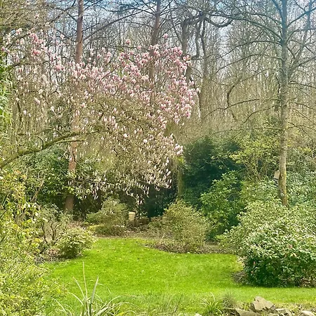 Gartenhaus Am Waldrand Apartment *